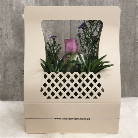 the bloom box